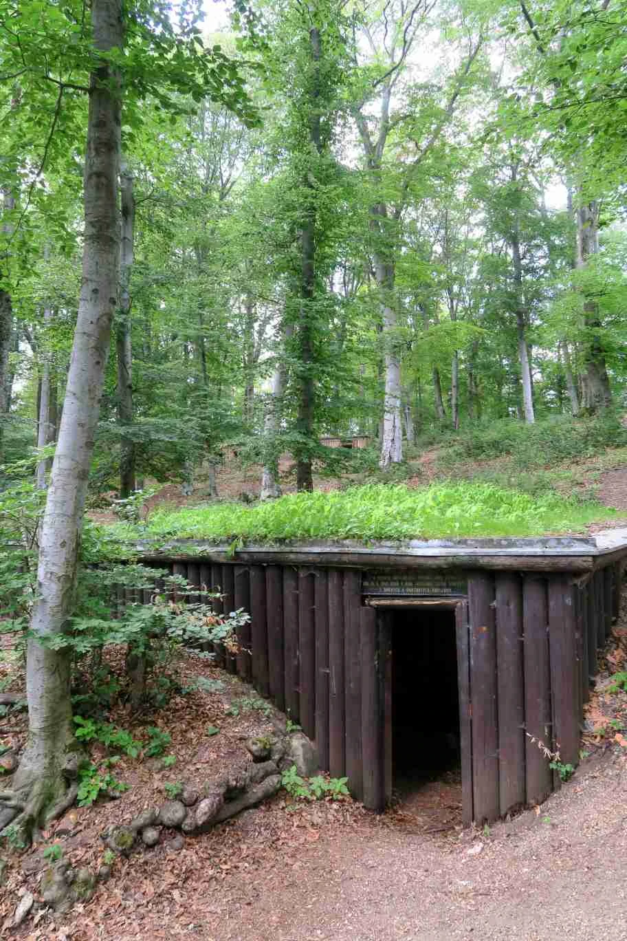 Rekonštruovaný drevený partizánsky bunker v lese na Jankovom vŕšku